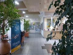 183 HYERES ET SES PALMIERS D13_000052